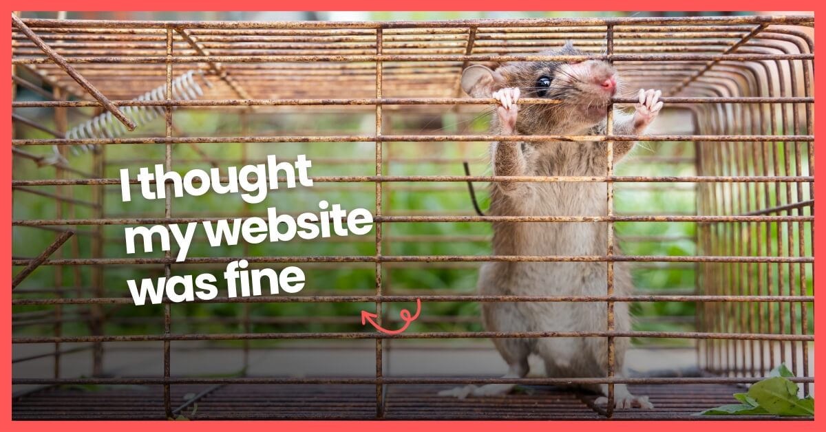 98% of Businesses Fall Into This Trap When They Launch a New Website